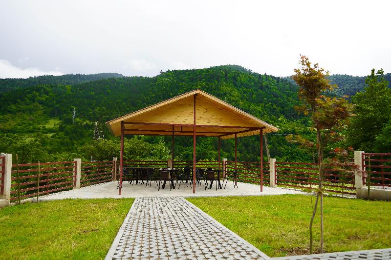 Holiday Borjomi image