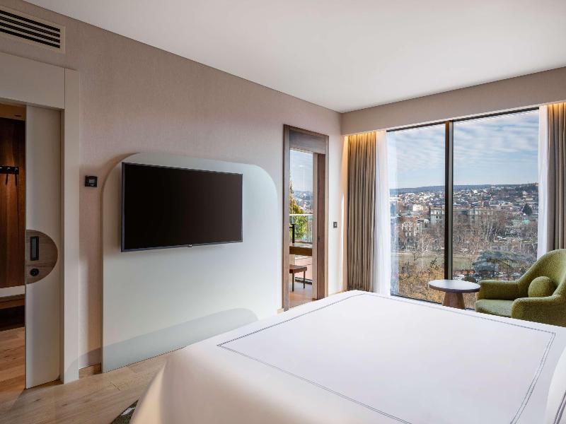 Swissôtel Tbilisi image