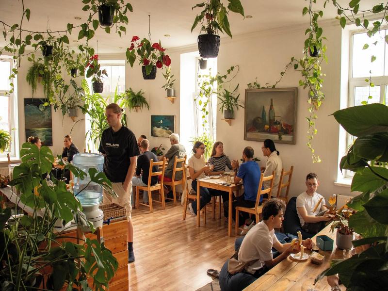 Cinnamon Sally Backpackers Hostel image