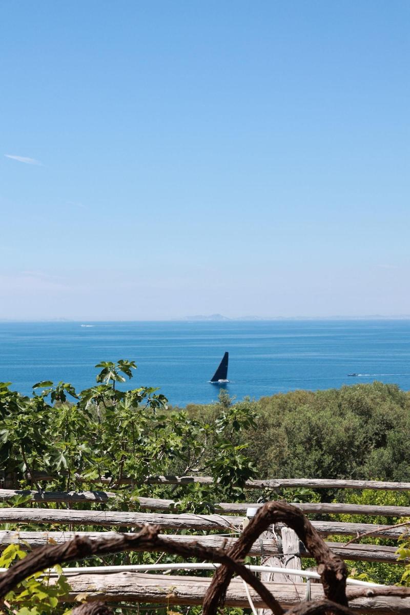 Villa Puolo - With Private Sea Access image