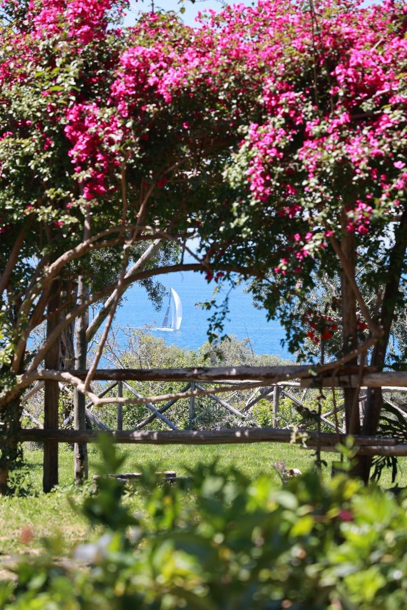 Villa Puolo - With Private Sea Access image