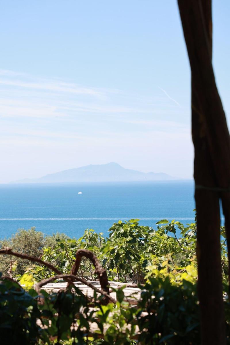 Villa Puolo - With Private Sea Access image