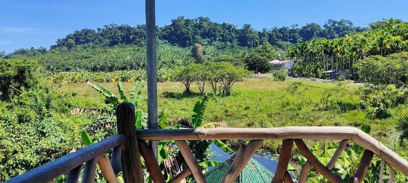 Matsya Island Retreat — general view