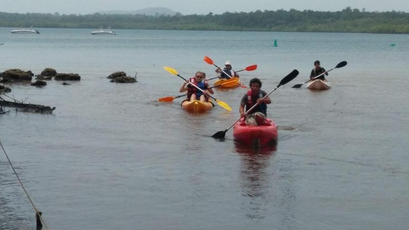 Matsya Island Retreat