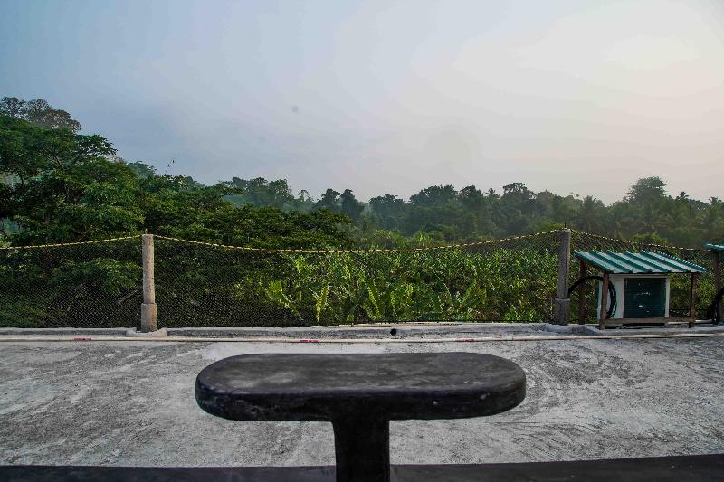 Matsya Island Retreat