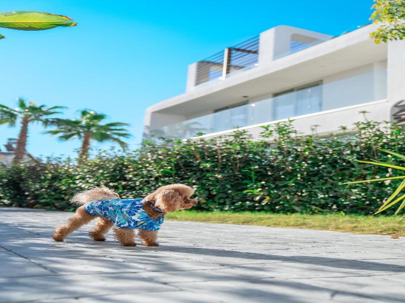 Club Arona Luxury Villas Belek image