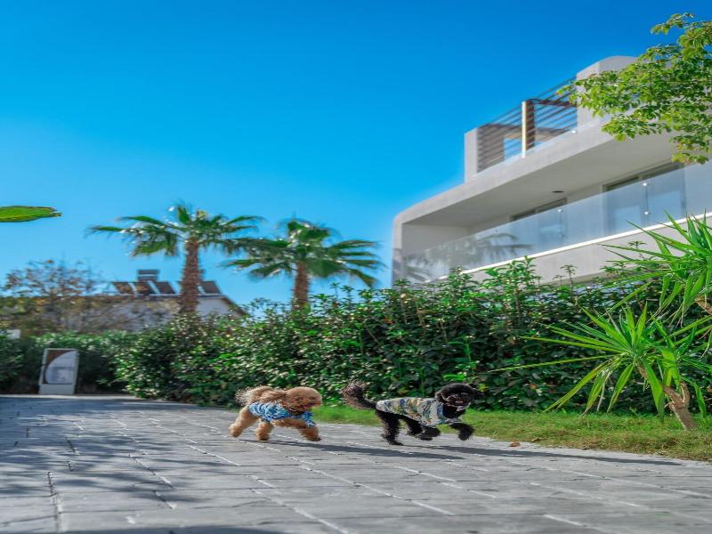 Club Arona Luxury Villas Belek image