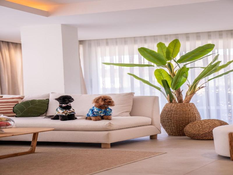 Club Arona Luxury Villas Belek image