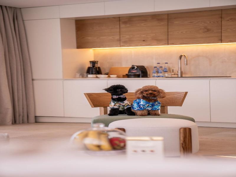 Club Arona Luxury Villas Belek image