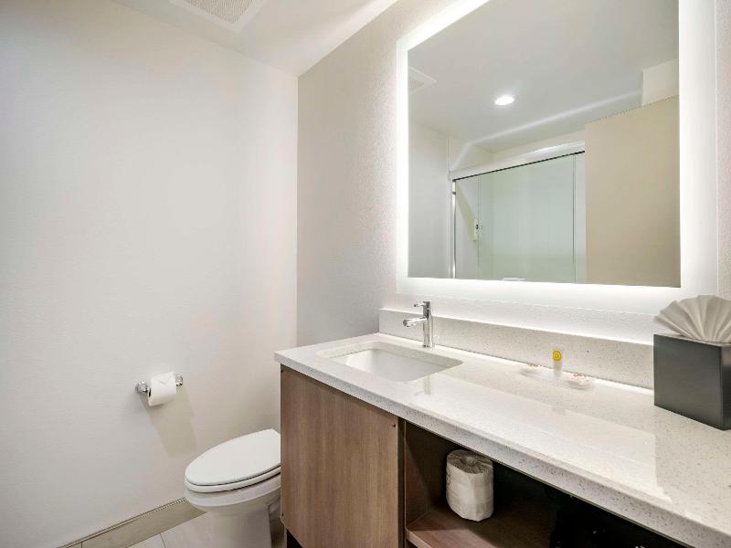 Comfort InnSuites New Port Richey DowntownDistrict image