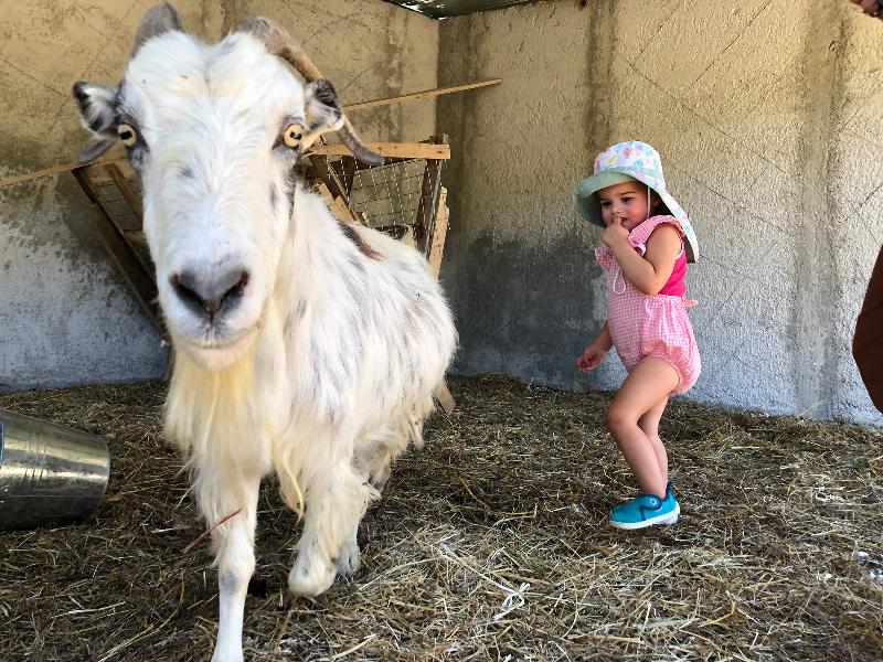 Bote Farms image