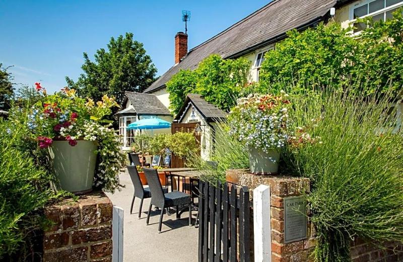 The Cricketers image