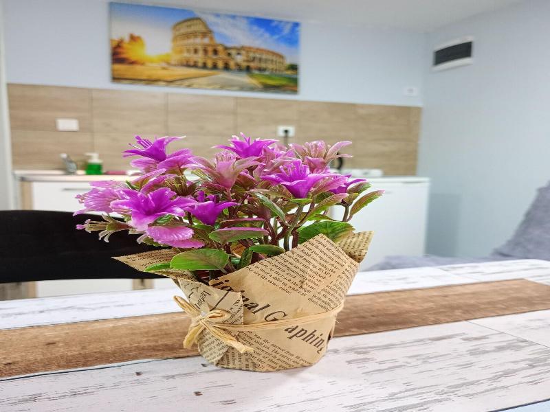 Serenita Stone House image