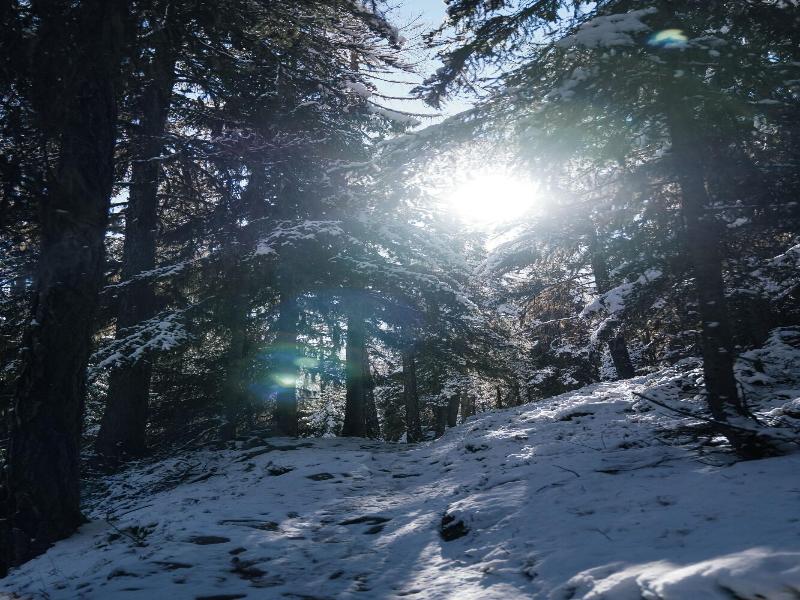 Waldhotel Fletschhorn image