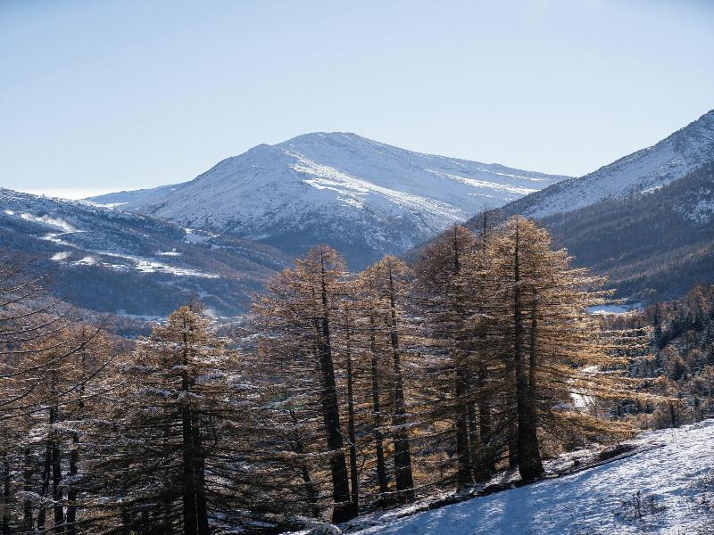 Waldhotel Fletschhorn image
