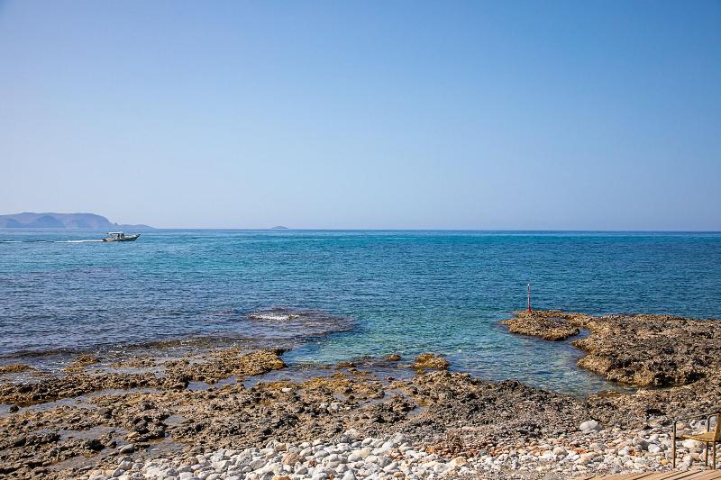 Rania Studios image