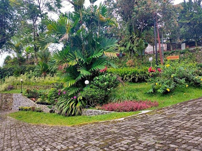 Hotel Anita Baturaden Redpartner image