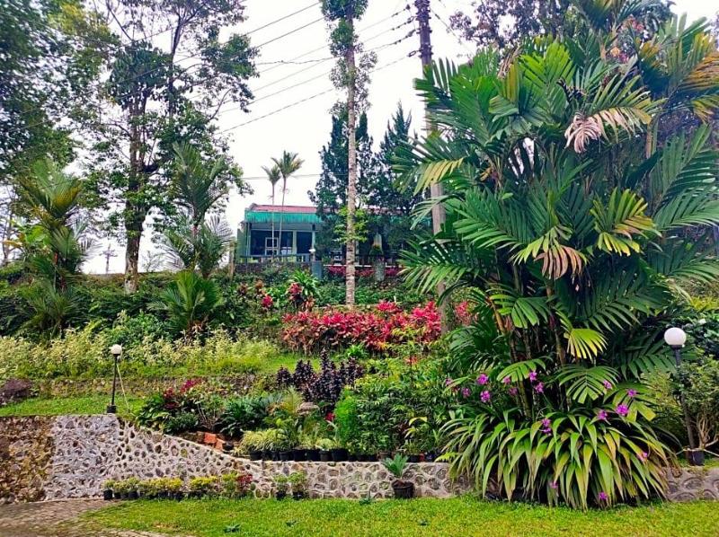 Hotel Anita Baturaden Redpartner image