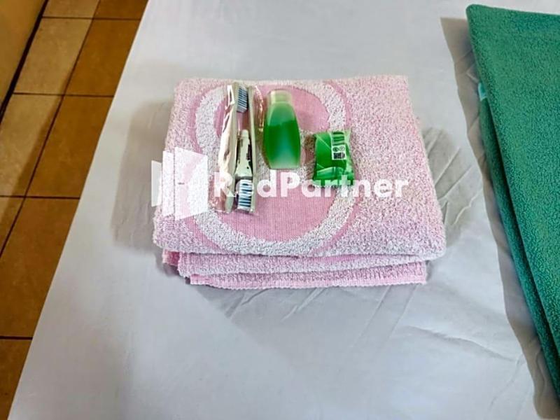Hotel Anita Baturaden Redpartner image