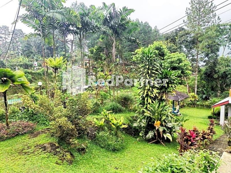 Hotel Anita Baturaden Redpartner image