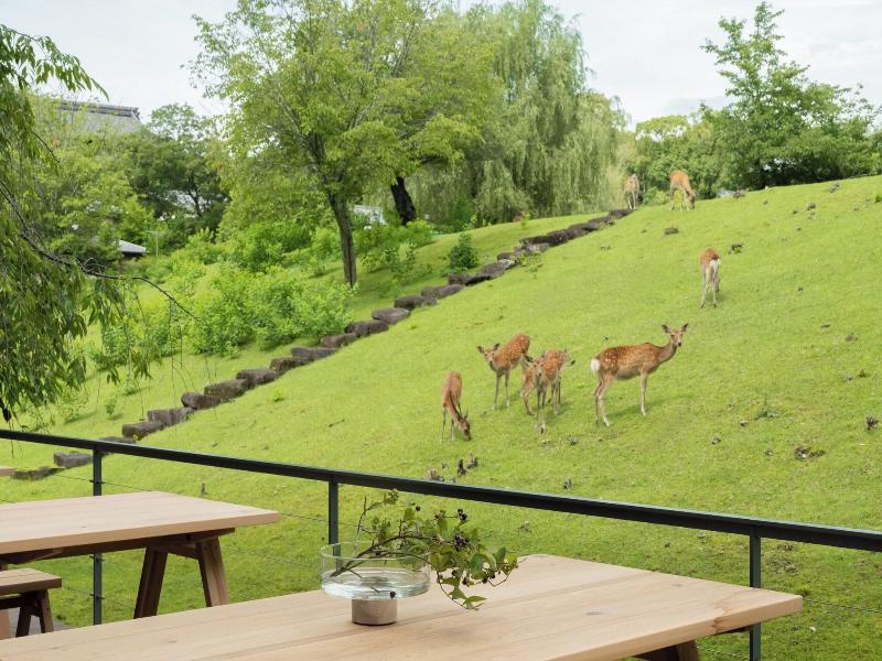 Miroku Nara By The Share Hotels image