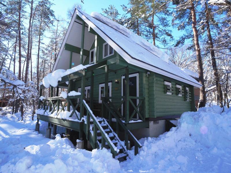 Big Foot Cabin Hakuba image