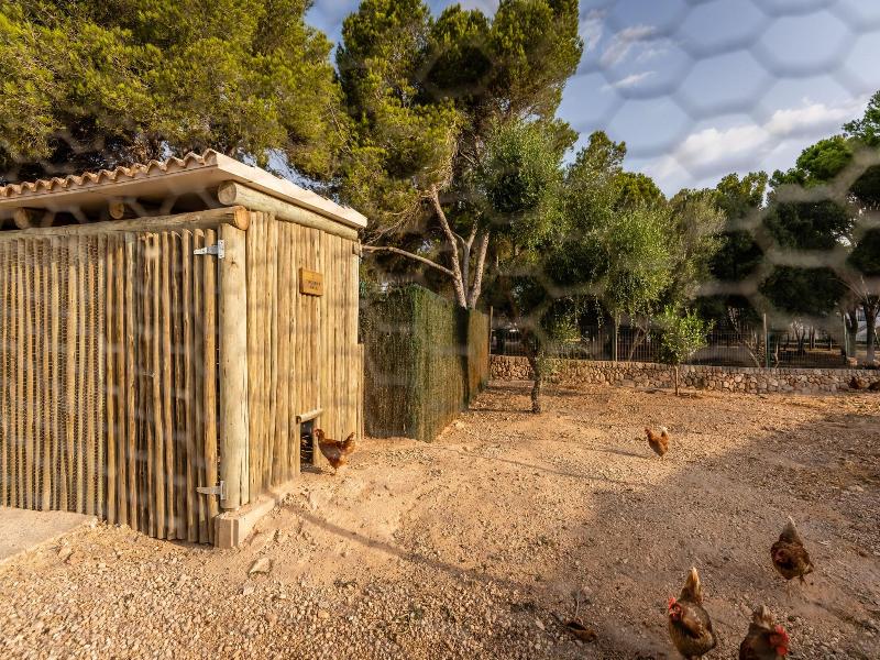 Lago Resort Menorca - Villas & Bungalows Del Lago image