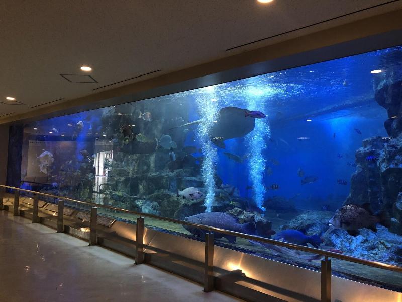 The Gran Resort Amanohashidate image
