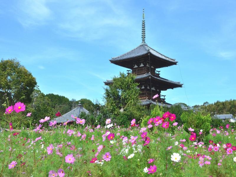 Apa Hotel Kintetsu Nara-ekimae image