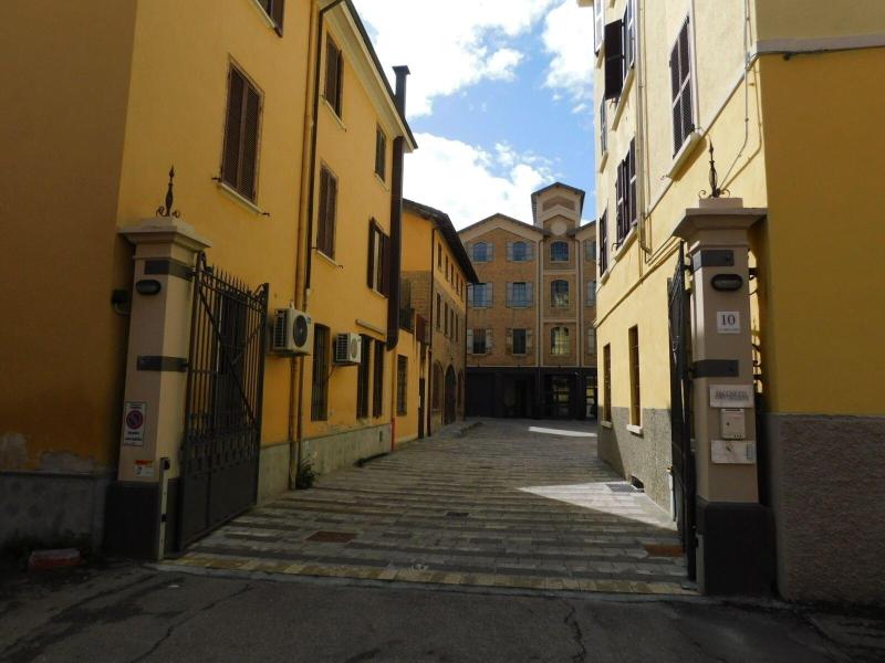 Piumaviola image