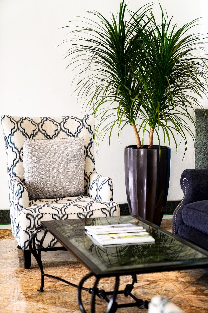 Daeha Serviced Apartment image