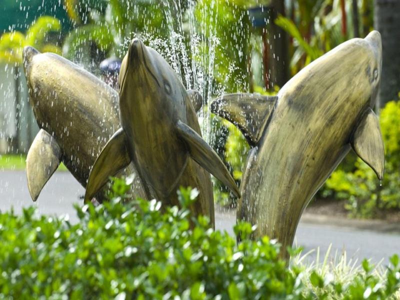 Big4 Cairns Coconut image