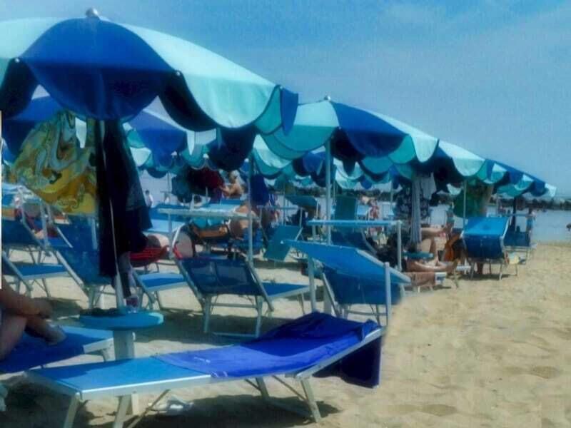 Hotel Alga image