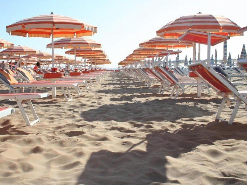 Hotel Alga image