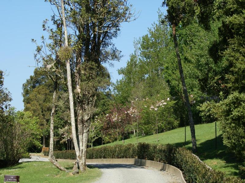 Woodhouse Mountain Lodge image