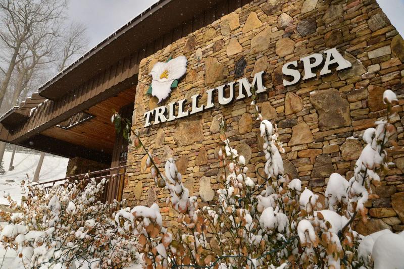 Seven Springs Resort by Vail Resorts image