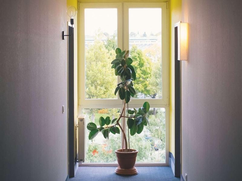 Vienna House Easy By Wyndham Amberg image