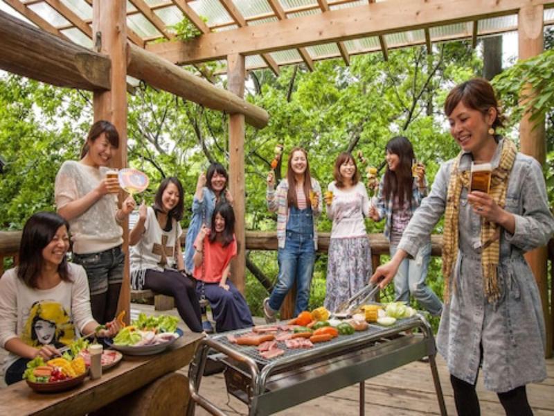Kurokawa Mori no Cottage image