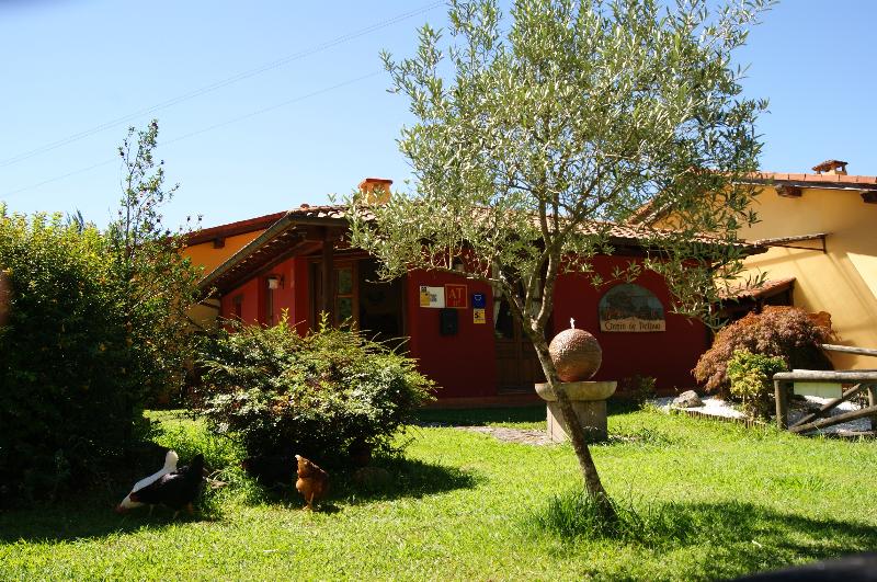 Apartamentos Camin De Pelayo — photo 4