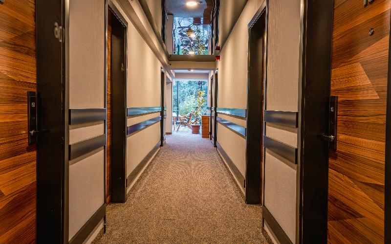 Bakuriani Inn image