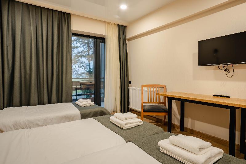 Bakuriani Inn image