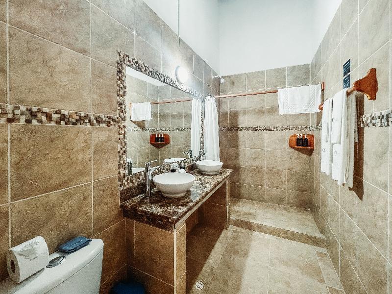 Hotel Albemarle image