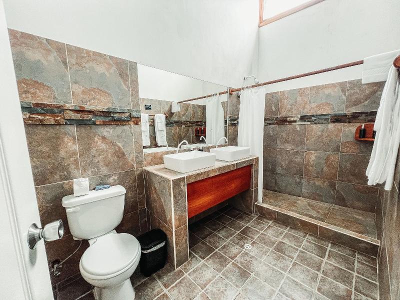 Hotel Albemarle image