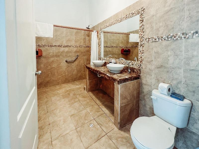 Hotel Albemarle image