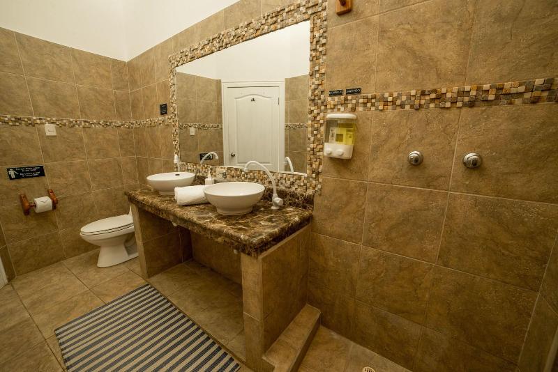 Hotel Albemarle image
