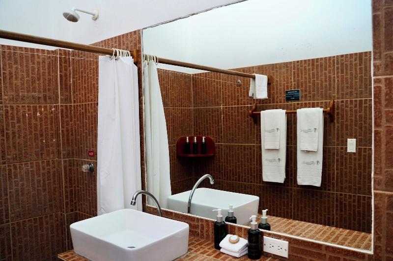 Hotel Albemarle image