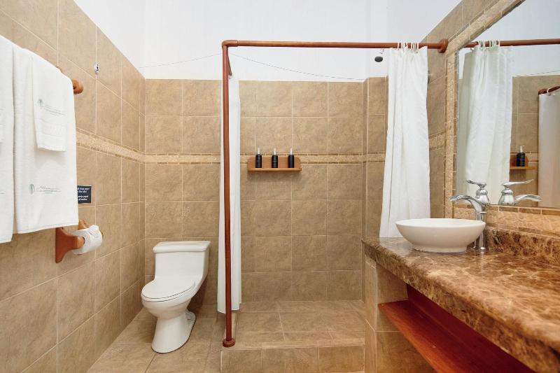 Hotel Albemarle image