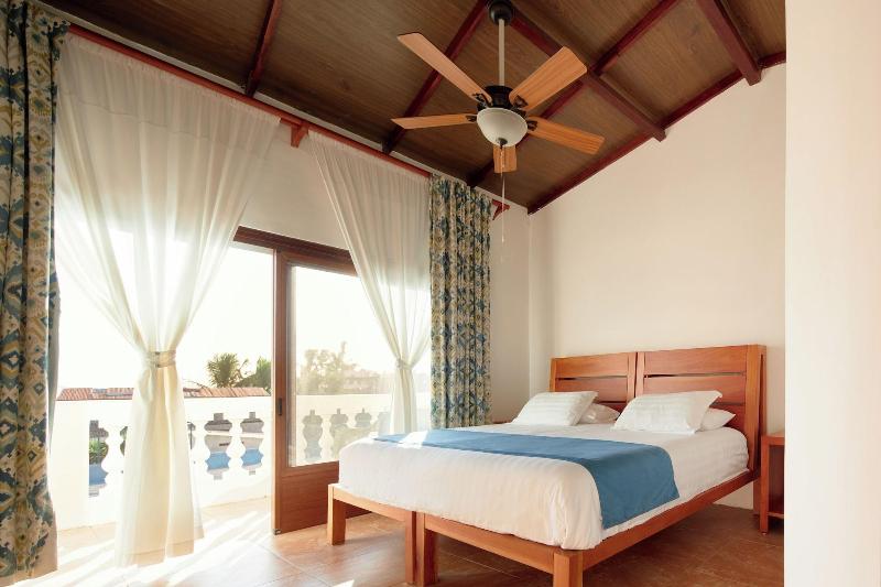 Hotel Albemarle image