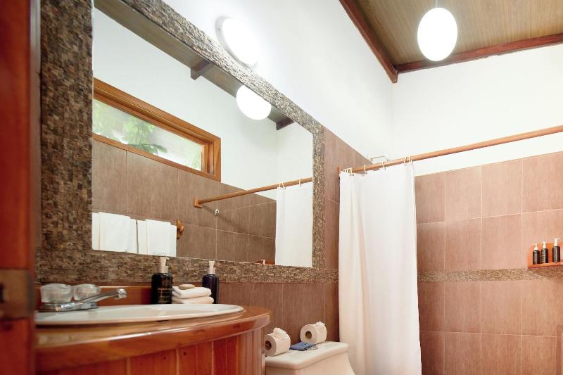 Hotel Albemarle image