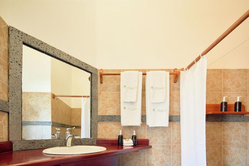 Hotel Albemarle image